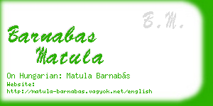 barnabas matula business card