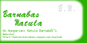 barnabas matula business card